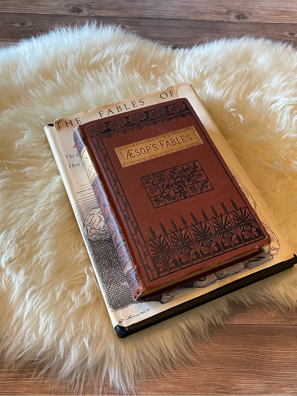 1st Editions The Fables of Aesop ~ 1882 and 1975 - Picture 7 of 11